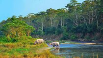 2 Night 3 Day Chitwan Jungle Safari Tour from Pokhara
