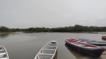 Fisherman's Island in the Mangroves in Canoe