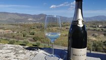 Castelmola and Etna Wine Tasting Tour from Messina