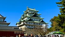 Nagoya Castle Private Guided Tour