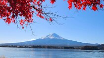 Mount Fuji and Lake Kawaguchi Private Day Trip From Tokyo