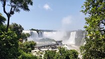 Iguassu Falls, Argentina Side: Private Tour English/Español/Port