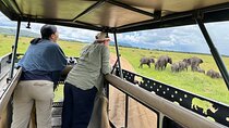 4 Days Masai Mara and Lake Nakuru 4X4 Jeep Camping Safari