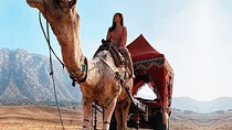Jaipur to Pushkar Day Trip with Camel Safari and Sunset