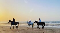 Sunset Horse Riding on the beach