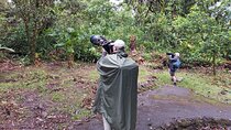 Arenal Half-day Birding and Photography