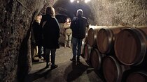 Ribera del Duero Wine Tour: Two Wineries and Tasting