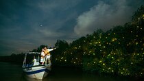 Fireflies and Bioluminescent Night Tour with Seafood Delight