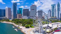 Shore Excursion from Port of Miami: Downtown Private Tour