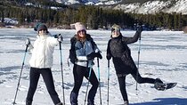 Women's Snowshoeing in Rocky Mountain National Park for Beginners