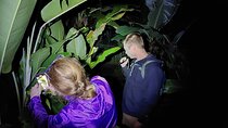 Rain Forest Nocturnal Experience Frogs and Snakes Quest
