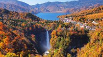 Nikko Private Day Trip with English Speaking Driver From Tokyo