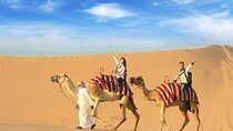 Camel Ride Dubai With Bedouin Breakfast