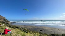  Auckland Harbour And Muriwai Black Sand Beach Private Tour