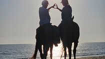 Private Horseback Riding in Muscat Beach
