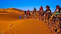 3 Days Merzouga Desert Shared Trip