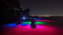 Bioluminescent Comb Jelly & LED Kayak / Paddle board Excursion