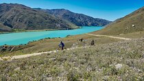 Lake Dunstan Discovery Cycling Tour