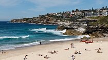 From Sydney: Full Day Tour of Golden Beaches and Ocean Vistas