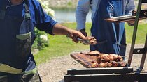 Argentine BBQ Experience and Winery Visits.Transfer included