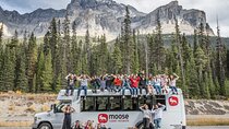 Caribou - Discover the Best of the Rockies (8-Days)