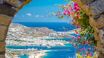 Half Day Mykonos Shore Excursion from Cruise Port