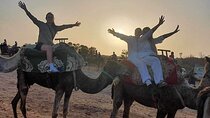 Camel Ride in Agadir Dunes with BBQ 