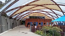 Waitomo Cave and Hobbiton Village Full Day Tour