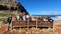 Private Table Mountain, Cape Point and Wine Tasting Tour