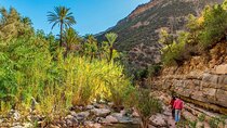Agadir Paradise Valley Trip 