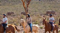 Horseback Safari Tour with Return Transfers, Meals and Beverages