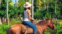 Punta Cana: Los Haitises Horses riding + Montana redonda