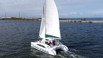 Private Dolphin Catamaran Sail In Cocoa Beach
