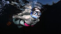 NIGHT TIME Guided Snorkel tour