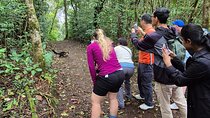 Cloud forest wonders guided tour