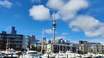 Auckland Highlights Full Day Guided Tour