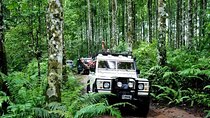 Bali Land Rover Safari & Jungle / Volcano
