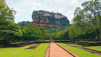 Sigiriya Lion Rock & Evening Safari Full Day Private Tour