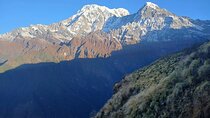 Experience Mardi Himal Trek 
