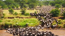 3 Days 2 Nights Maasai Mara Group Safari by 4WD From Nairobi