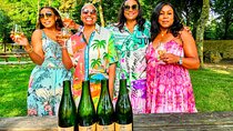 Private Full Day Tour with 2 Boutique Grower Champagne Houses