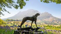 Full Day Winelands Tour With Wine Tasting from Cape Town