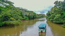 Full-Day Caño Negro Wildlife Refuge Boat Tour