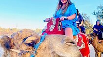 Agadir Camel Ride and flamingo river tour 