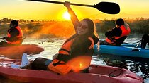 Xochimilco on a kayak at Sunrise