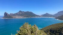 Cape Town: Peninsula, Cape of Good Hope and Penguins Tour