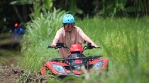 Bali ATV Quad Bike with Waterfalls, Tunnel & Gorilla Statue Track