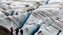 Private Wonders of the South Coast with Glacier Hike