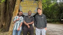 Full Day Private Hiking Tour to Kilimanjaro Mountain