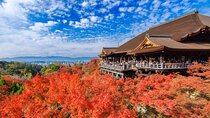 Kyoto & Uji: Full Day Sightseeing Tour from Osaka or Kyoto